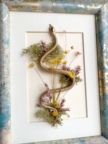 Snake Cottagecore Decor Real Dried Flower and Natural Art